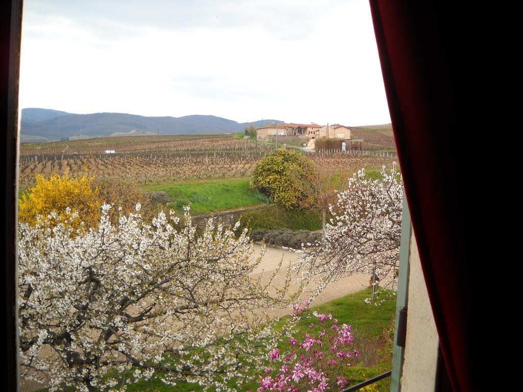 Hotel Des Vignes Juliénas Exterior foto